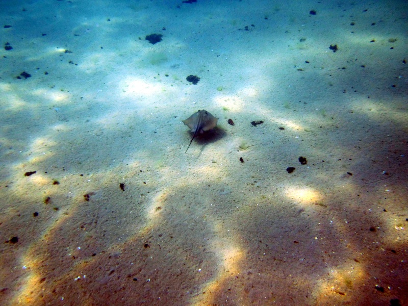 image-3